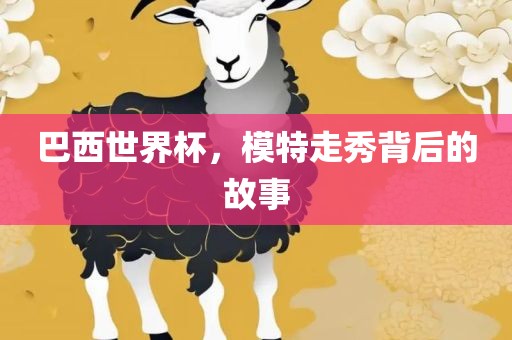 巴西世界杯，模特走秀背后的故事