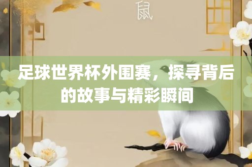 足球世界杯外围赛，探寻背后的故事与精彩瞬间