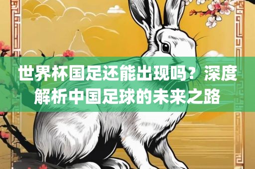 世界杯国足还能出现吗？深度解析中国足球的未来之路