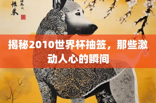 揭秘2010世界杯抽签，那些激动人心的瞬间