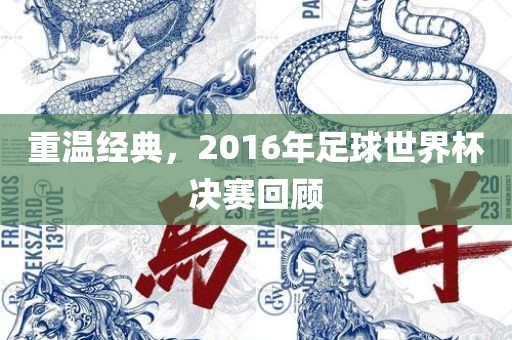 重温经典，2016年足球世界杯决赛回顾