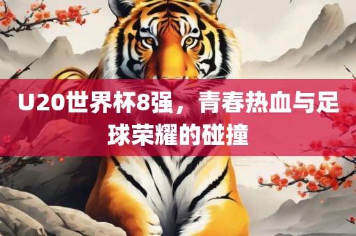 U20世界杯8强，青春热血与足球荣耀的碰撞