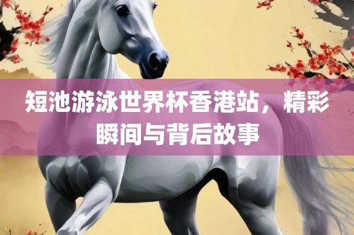 短池游泳世界杯香港站，精彩瞬间与背后故事