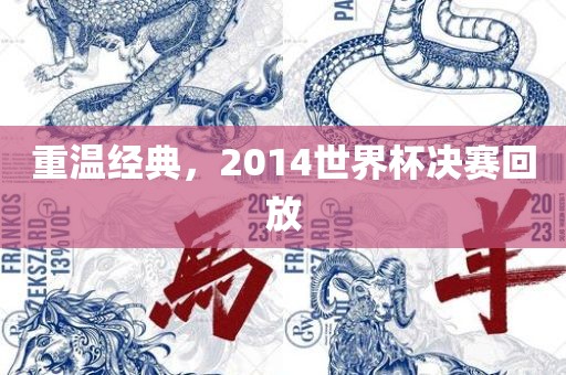 重温经典，2014世界杯决赛回放