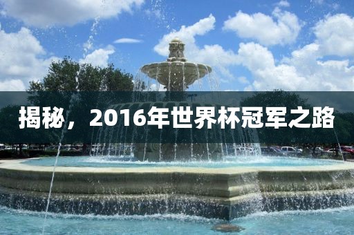 揭秘，2016年世界杯冠军之路