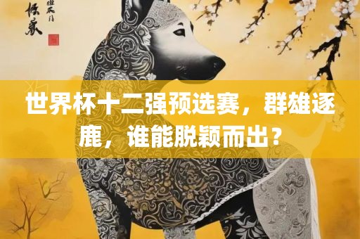世界杯十二强预选赛，群雄逐鹿，谁能脱颖而出？