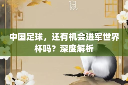 中国足球，还有机会进军世界杯吗？深度解析