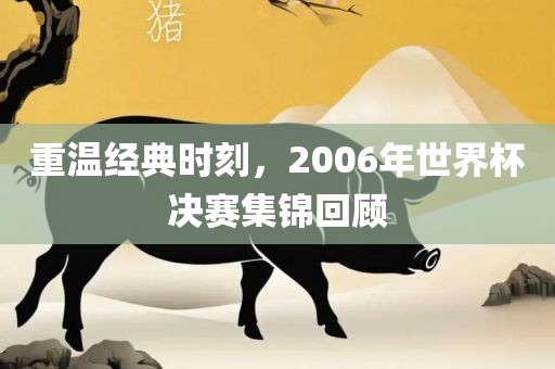 重温经典时刻，2006年世界杯决赛集锦回顾