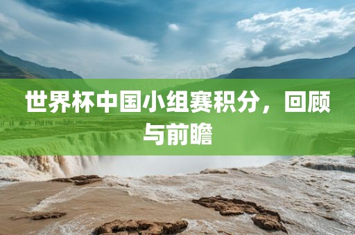 世界杯中国小组赛积分，回顾与前瞻