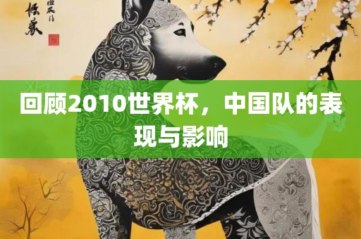 回顾2010世界杯，中国队的表现与影响