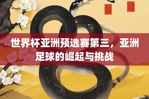 世界杯亚洲预选赛第三，亚洲足球的崛起与挑战