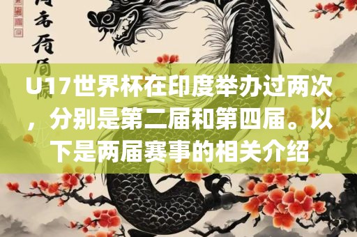 U17世界杯在印度举办过两次，分别是第二届和第四届。以下是两届赛事的相关介绍