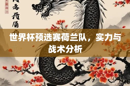 世界杯预选赛荷兰队，实力与战术分析