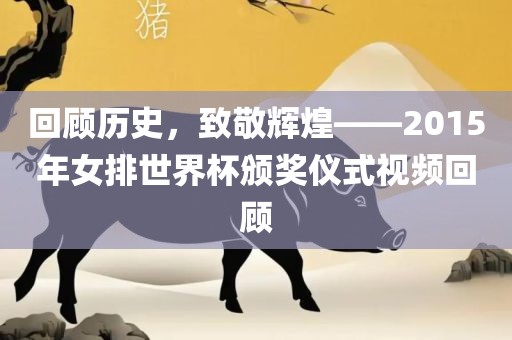 回顾历史，致敬辉煌——2015年女排世界杯颁奖仪式视频回顾