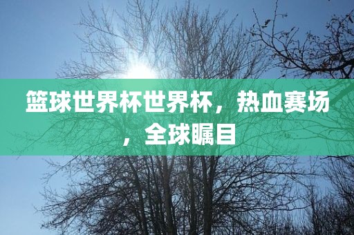 篮球世界杯世界杯，热血赛场，全球瞩目