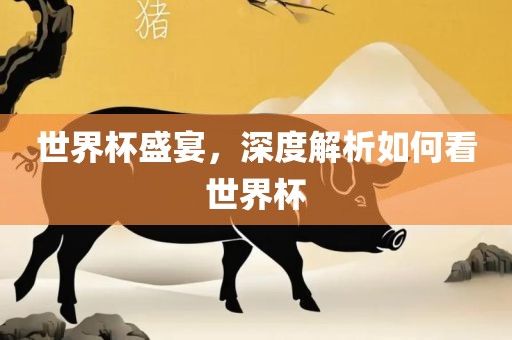 世界杯盛宴，深度解析如何看世界杯
