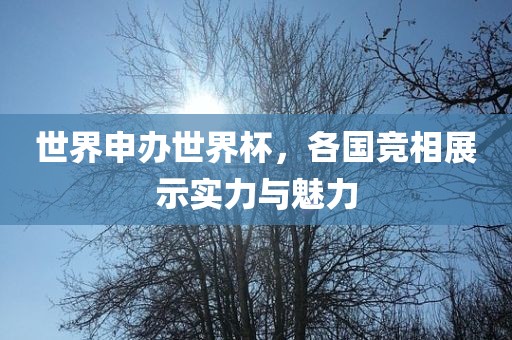 世界申办世界杯，各国竞相展示实力与魅力