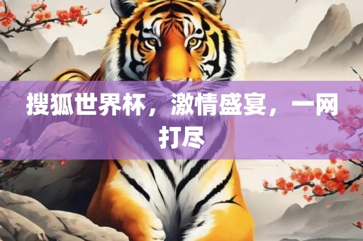 搜狐世界杯，激情盛宴，一网打尽