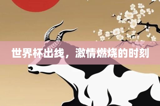 世界杯出线，激情燃烧的时刻