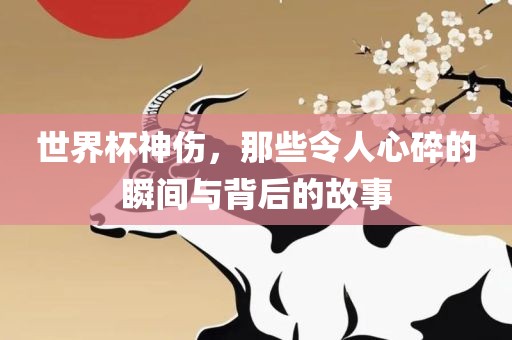世界杯神伤，那些令人心碎的瞬间与背后的故事
