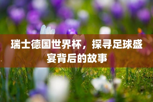瑞士德国世界杯，探寻足球盛宴背后的故事