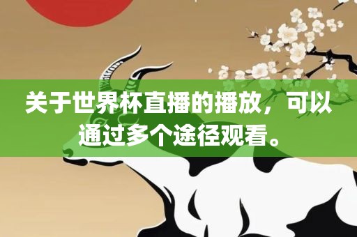 关于世界杯直播的播放，可以通过多个途径观看。