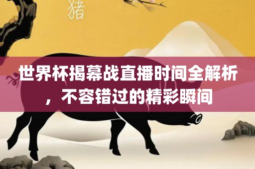 世界杯揭幕战直播时间全解析，不容错过的精彩瞬间