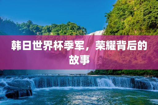 韩日世界杯季军，荣耀背后的故事