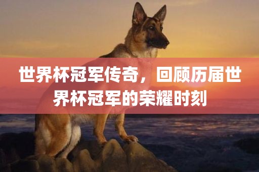世界杯冠军传奇，回顾历届世界杯冠军的荣耀时刻