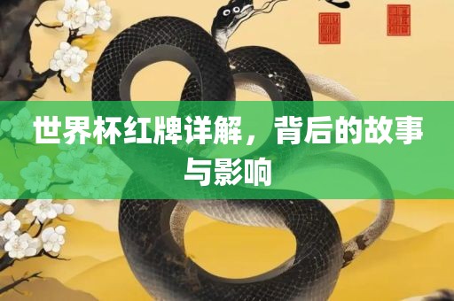 世界杯红牌详解，背后的故事与影响