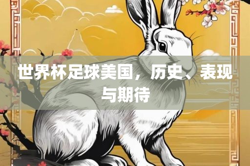 世界杯足球美国，历史、表现与期待