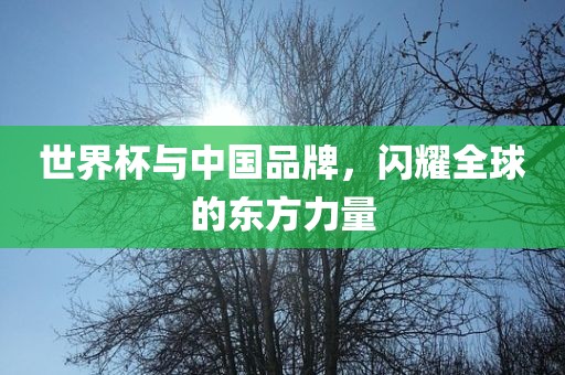 世界杯与中国品牌，闪耀全球的东方力量