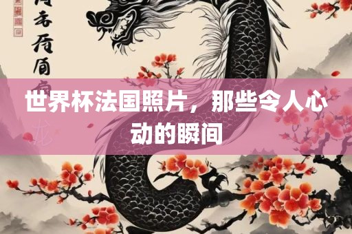 世界杯法国照片，那些令人心动的瞬间