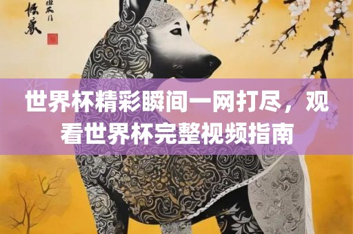世界杯精彩瞬间一网打尽，观看世界杯完整视频指南