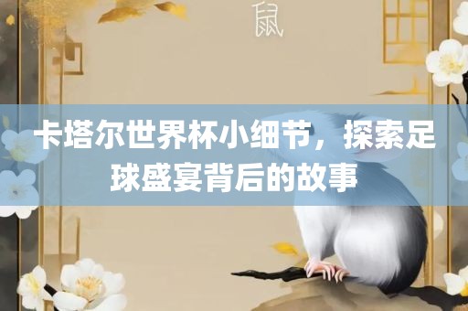 卡塔尔世界杯小细节，探索足球盛宴背后的故事