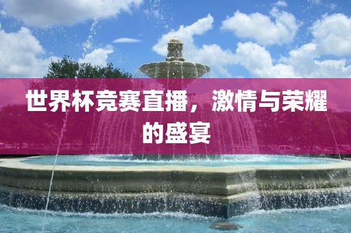 世界杯竞赛直播，激情与荣耀的盛宴