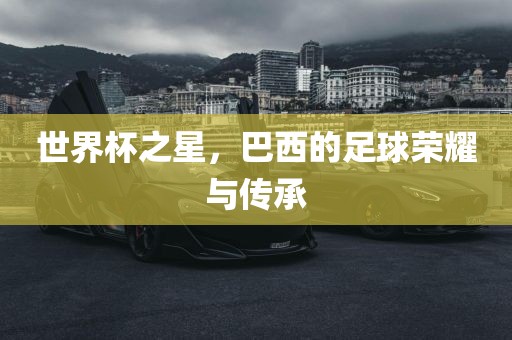 世界杯之星，巴西的足球荣耀与传承