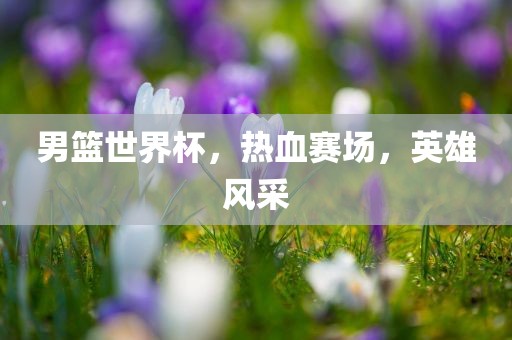 男篮世界杯，热血赛场，英雄风采