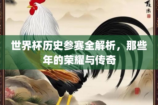 世界杯历史参赛全解析，那些年的荣耀与传奇