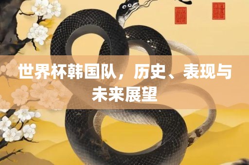 世界杯韩国队，历史、表现与未来展望