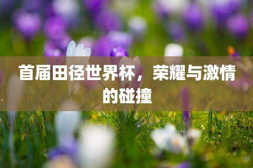 首届田径世界杯，荣耀与激情的碰撞