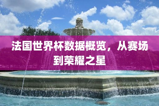 法国世界杯数据概览，从赛场到荣耀之星