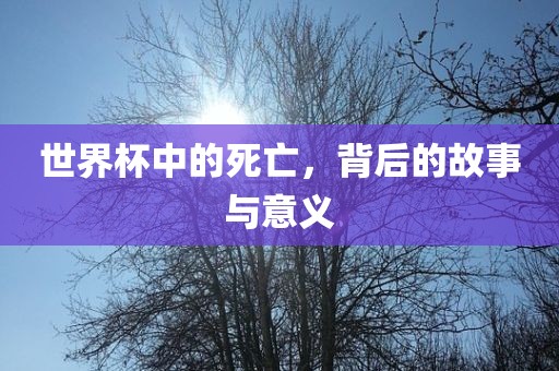 世界杯中的死亡，背后的故事与意义