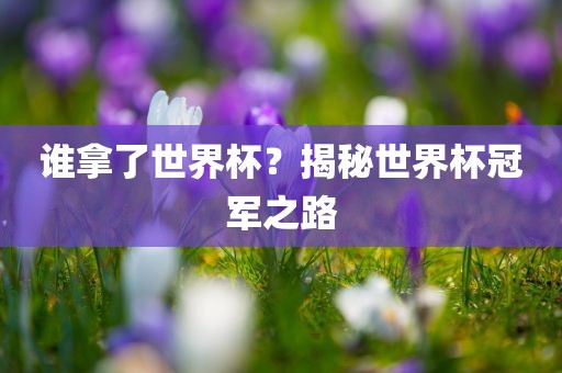 谁拿了世界杯？揭秘世界杯冠军之路