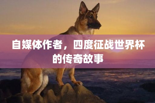 自媒体作者，四度征战世界杯的传奇故事