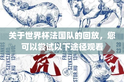 关于世界杯法国队的回放，您可以尝试以下途径观看
