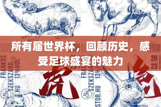 所有届世界杯，回顾历史，感受足球盛宴的魅力