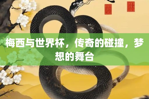梅西与世界杯，传奇的碰撞，梦想的舞台