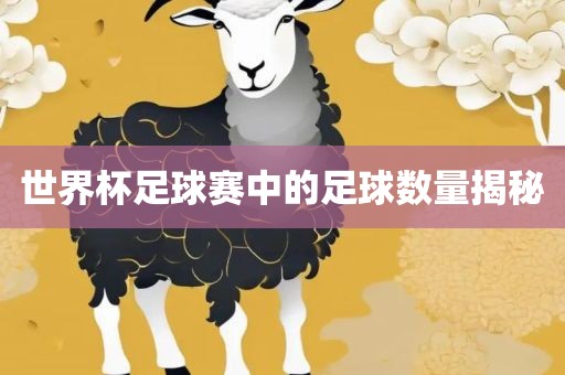 世界杯足球赛中的足球数量揭秘