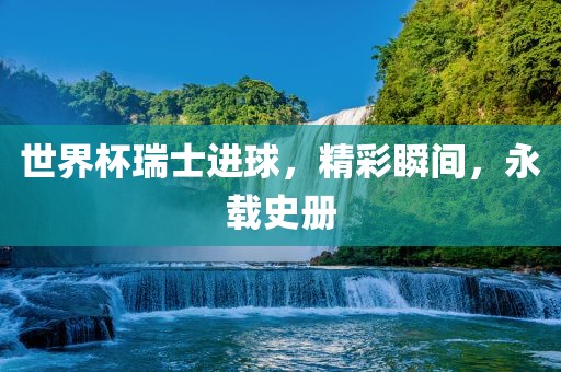 世界杯瑞士进球，精彩瞬间，永载史册